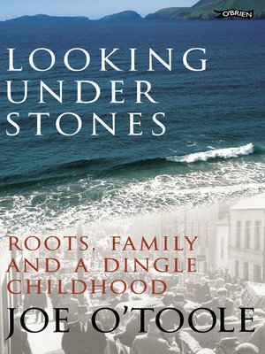cover image of Looking Under Stones